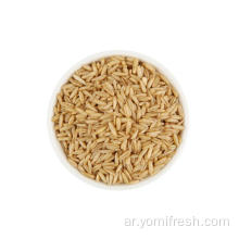 الأرز القمح الشوفان